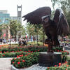 image of Stella in Connor plaza 