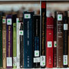 image of books on a shelf in TU library