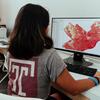 image of student working on a computer on mapping software