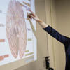 image of professor teaching neuroscience