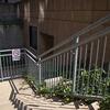 image of Weiss Hall 13th St entrance stairs